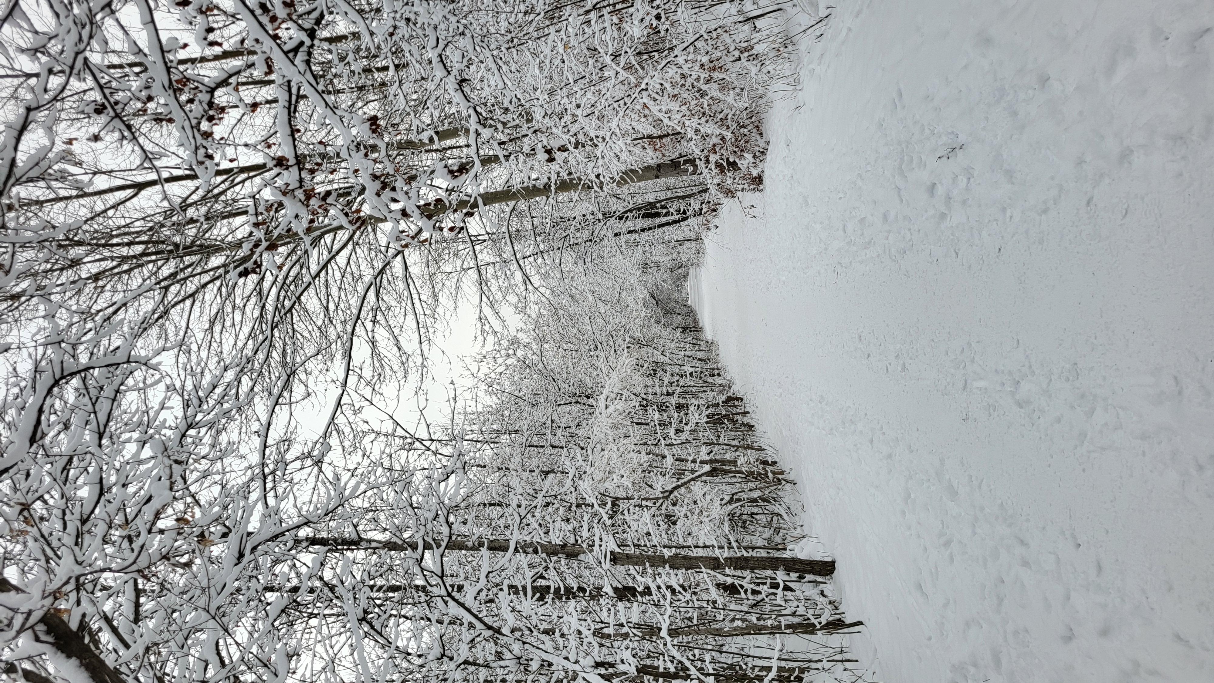 Winter on TCT