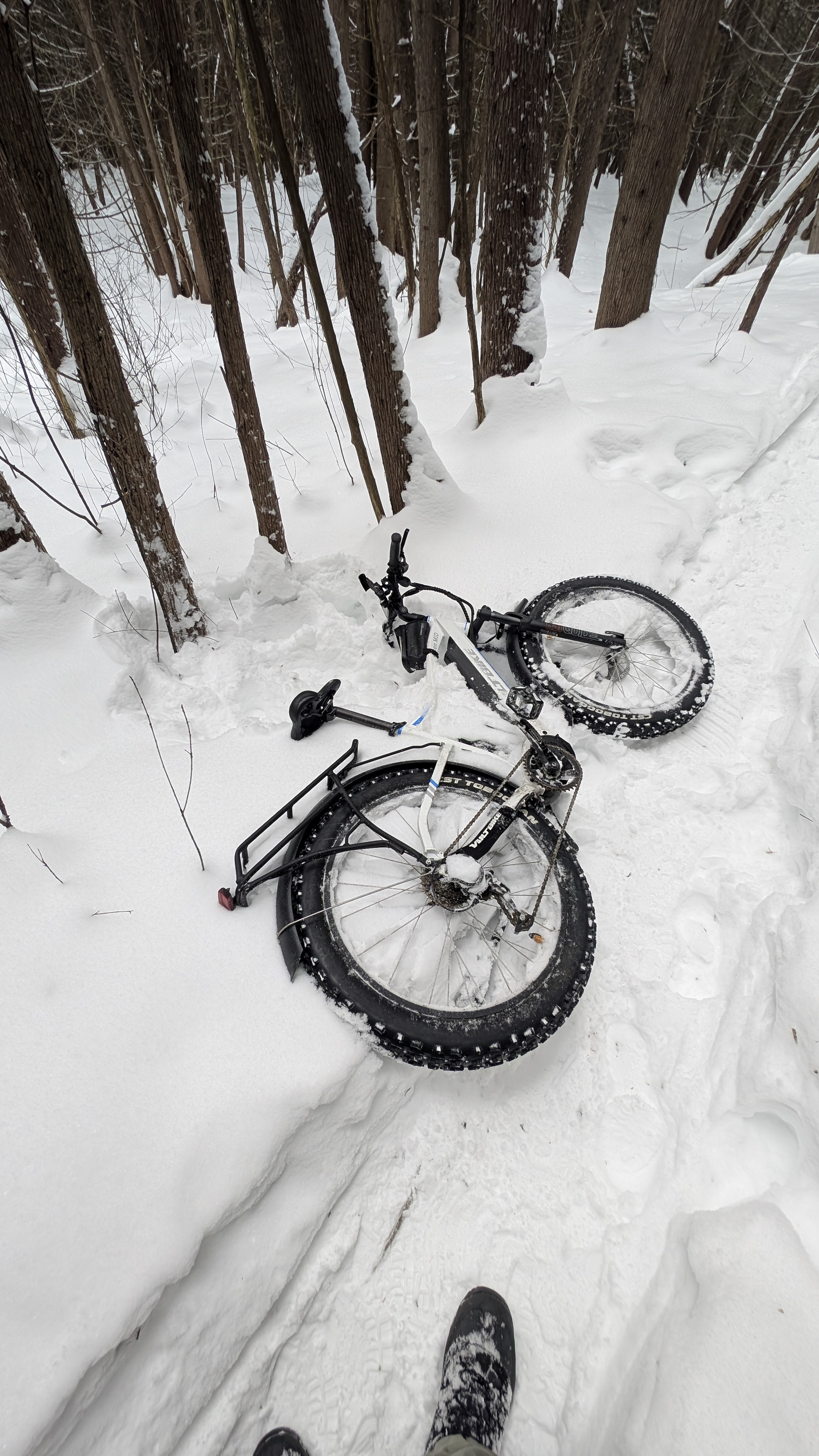 Bike down in soft snow in Thresher forest