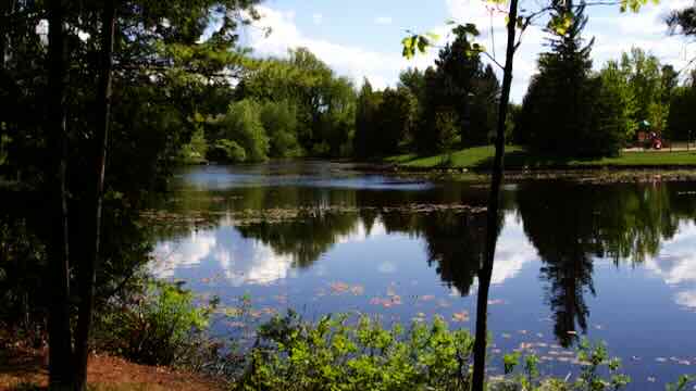 Stormwater pond at Paul Lindsay park