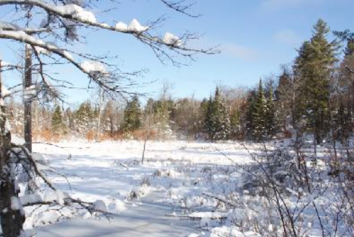 Winter Scene in Ottawa region
